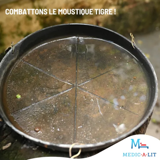 Videz l’eau stagnante (coupelles, pneus usagés, réservoirs)